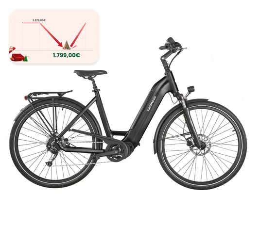 GRUNDIG GCB-1 E-Bike Schwarz