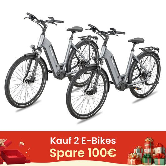 GRUNDIG GCB-1 E-Bike Lichtgrau