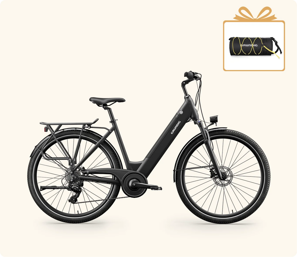 ECB28 Bicicleta Eléctrica