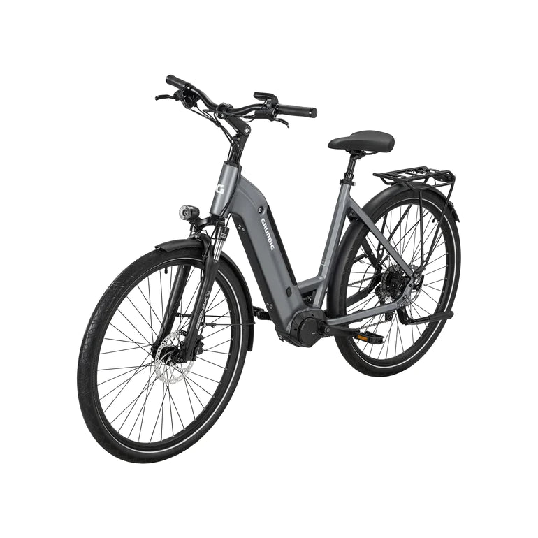 Cube E-Bike vs. GRUNDIG E-bike: Ein Vergleich der beiden Elektrofahrräder