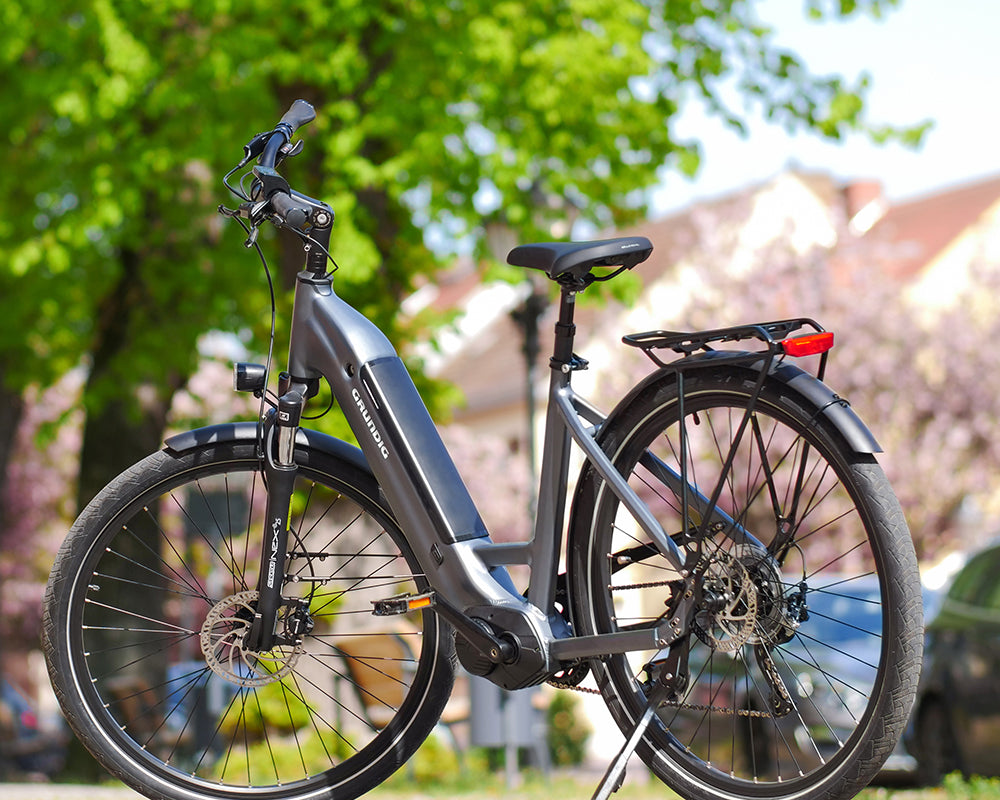 Specialized E-Bike vs GRUNDIG: Ein Vergleich