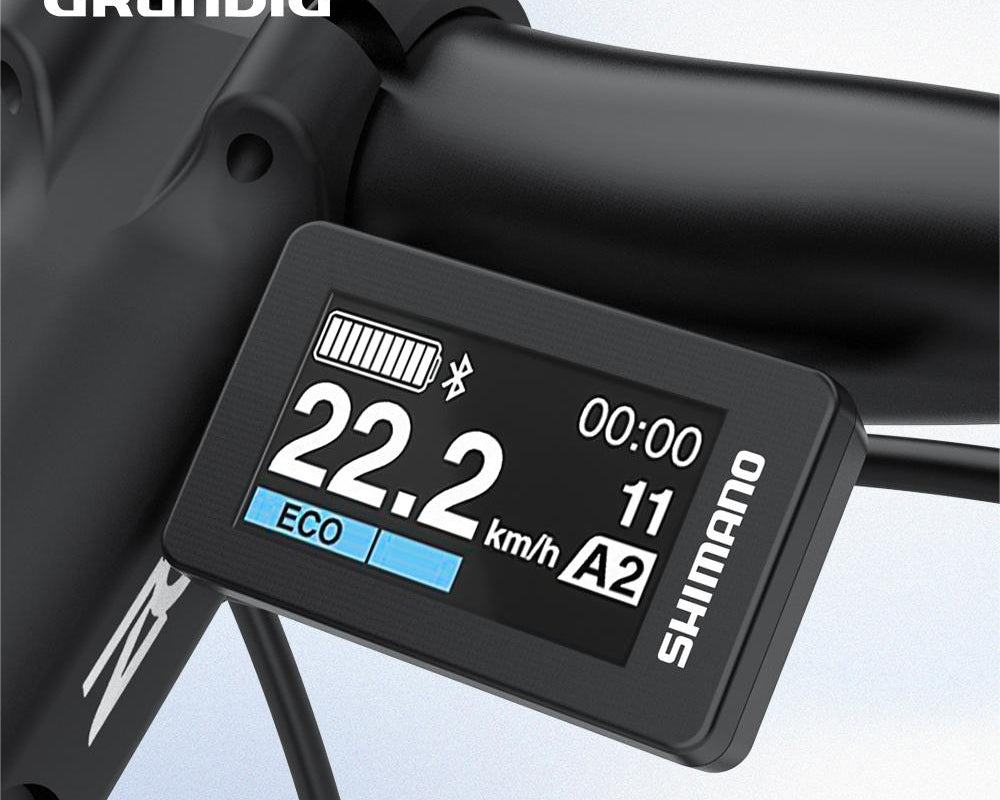 Wie nutzt man die Leistungsmodi eines E-Bikes