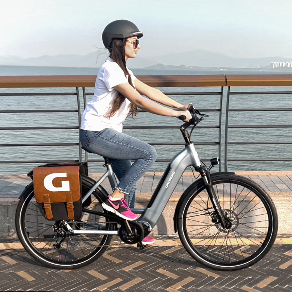 Raleigh E-Bike vs GRUNDIG: Ein Vergleich der elektrischen Fahrräder