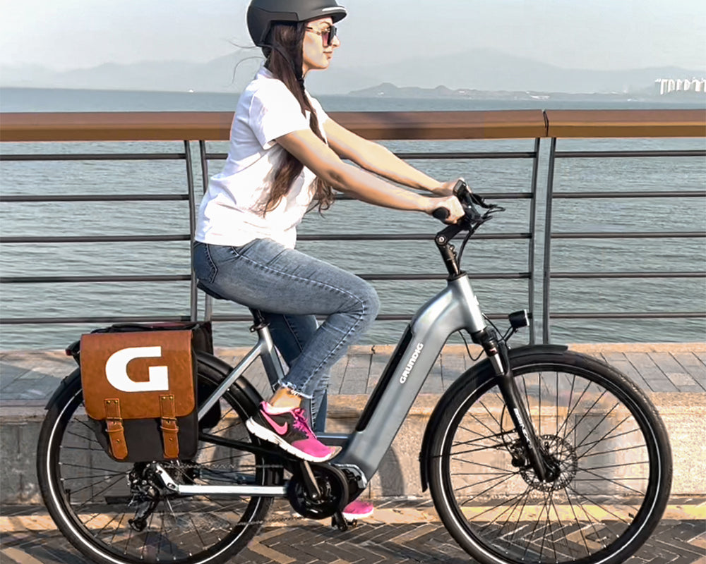 Raleigh E-Bike vs GRUNDIG: Ein Vergleich der elektrischen Fahrräder