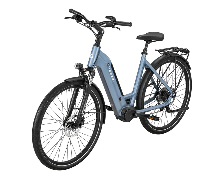 Rose E-bike vs. GRUNDIG E-bike: Ein Vergleich der beiden E-Bike-Marken