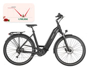 GRUNDIG GCB-1 E-Bike Schwarz