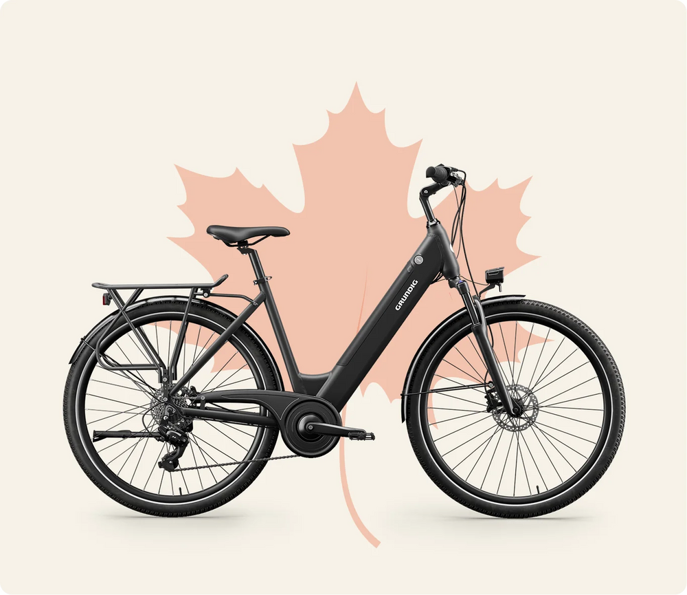 ECB28 E-Bike