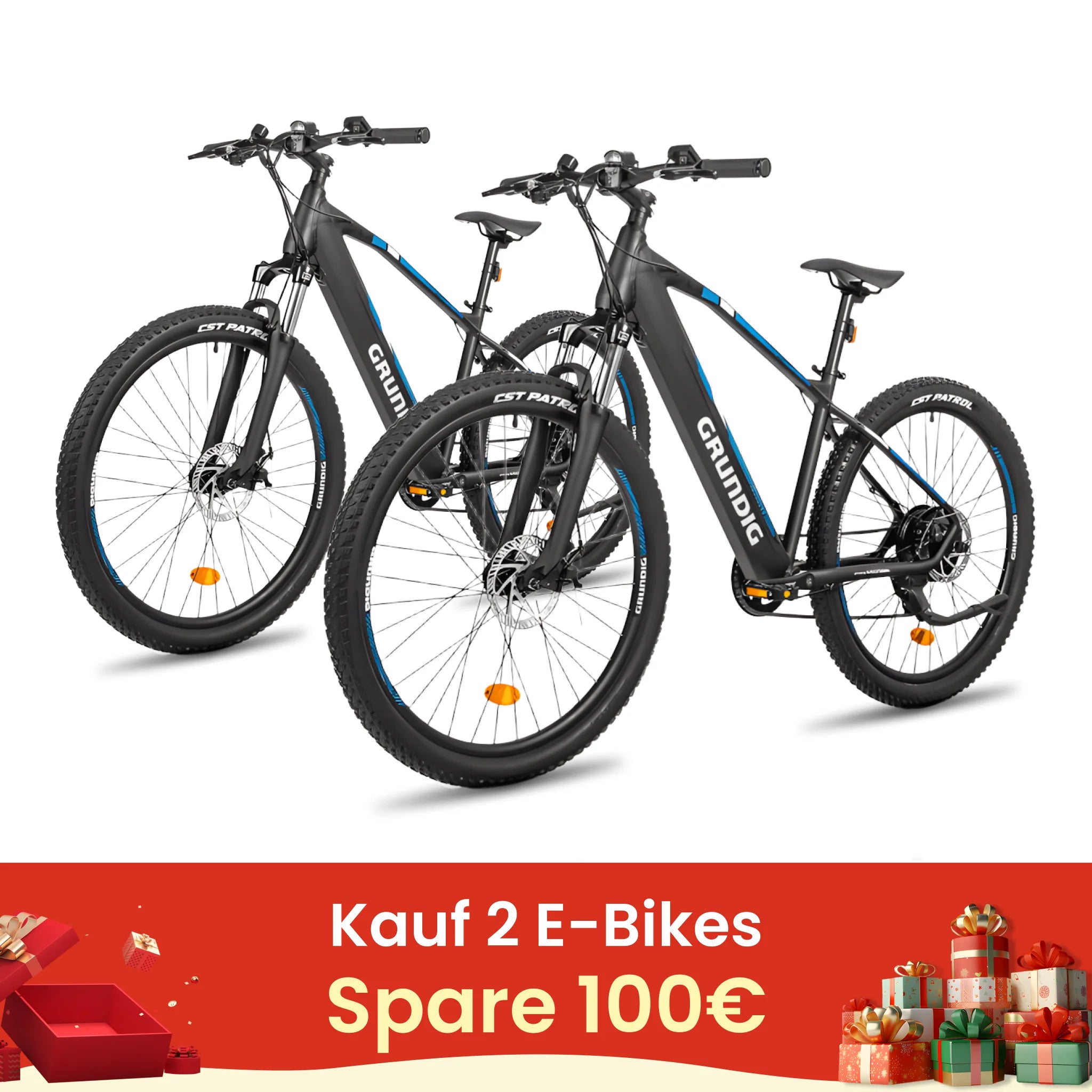 2_e-bikes_combo-E275-DE.webp
