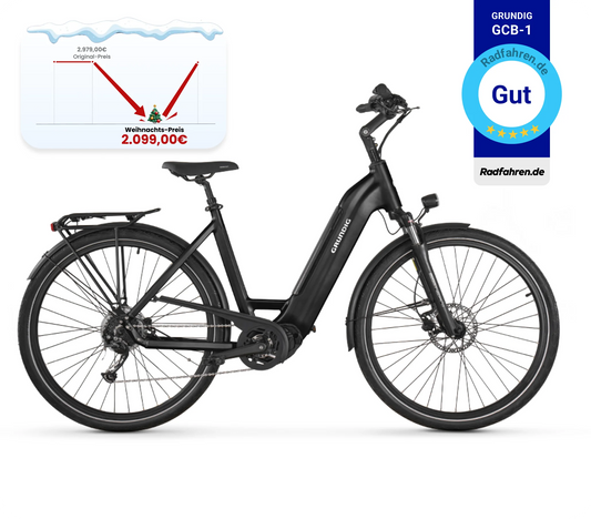 GRUNDIG GCB-1 E-Bike Schwarz