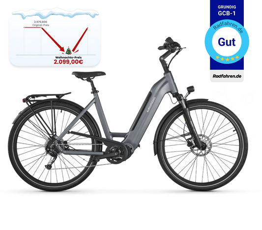 GRUNDIG GCB-1 E-Bike Lichtgrau