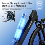 【Vorbestellung】GRUNDIG ECB28 E-Bike 2026er Neuauflage